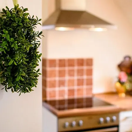 بيت للعطل Werts Hof Ferienwohnen روشنبرج