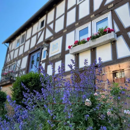 Werts Hof Ferienwohnen بيت للعطل *