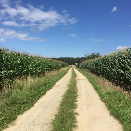 بيت للعطل Werts Hof Ferienwohnen روشنبرج