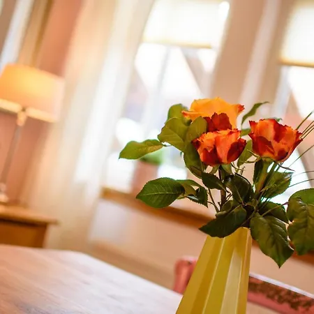 Werts Hof Ferienwohnen *