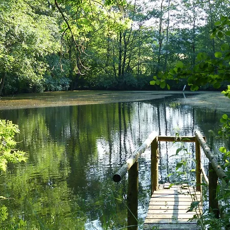 Werts Hof Ferienwohnen بيت للعطل روشنبرج